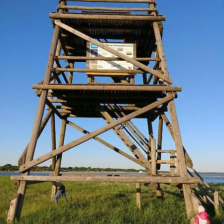 Maarja *